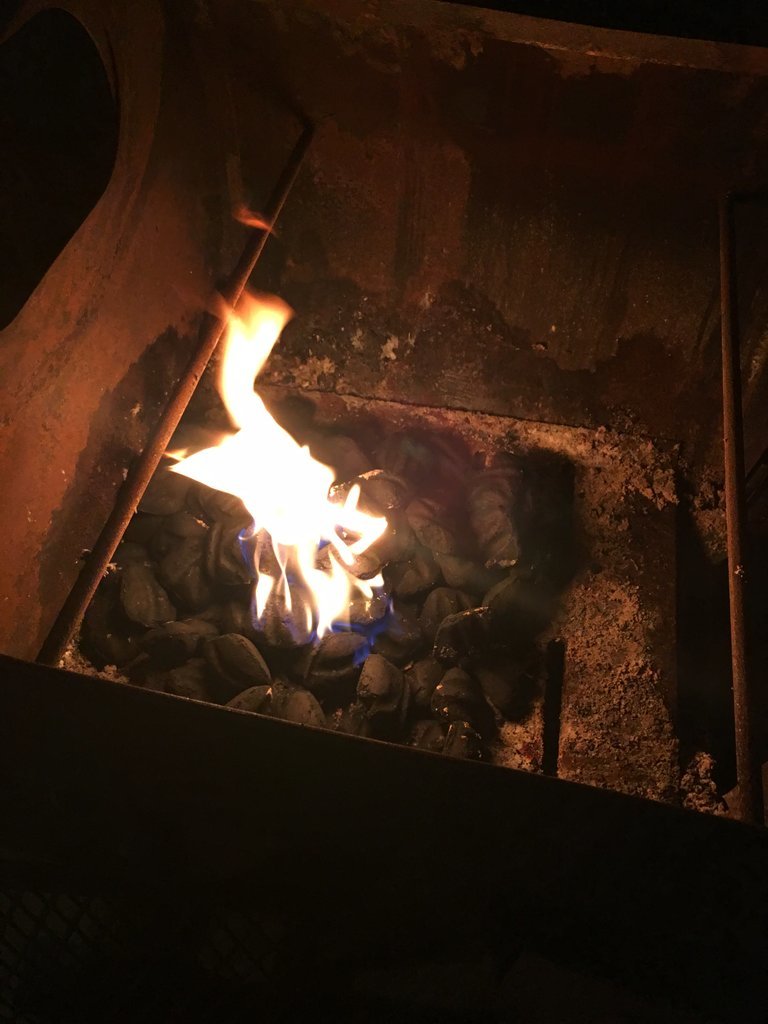 IMG_8910.jpg