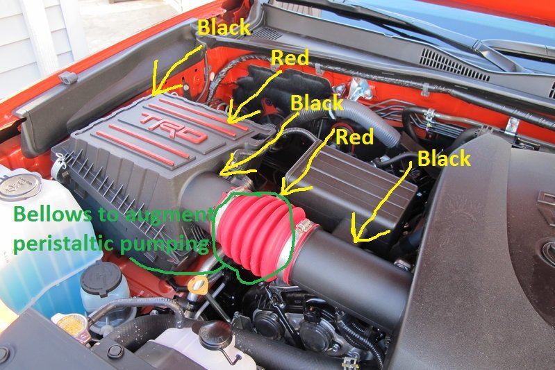 IMG_8912 with labels.jpg