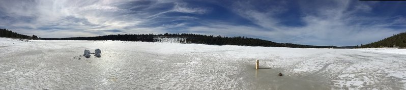 IMG_8913.jpg