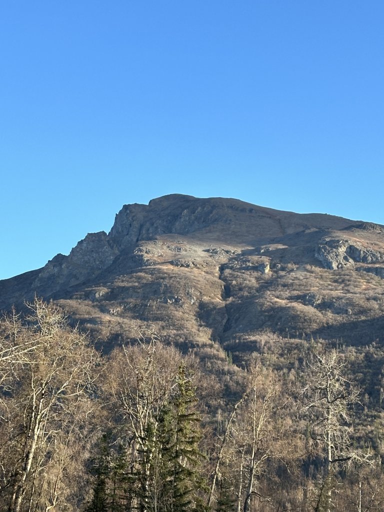 IMG_8981.jpg