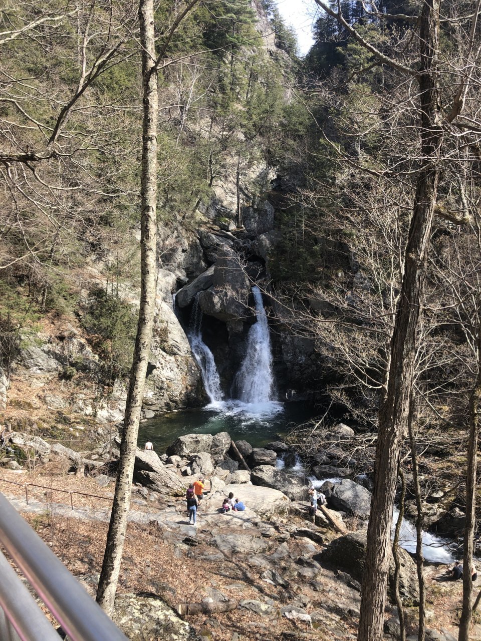 IMG_8991.jpg