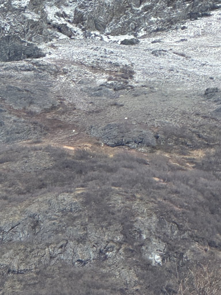IMG_8995.jpg