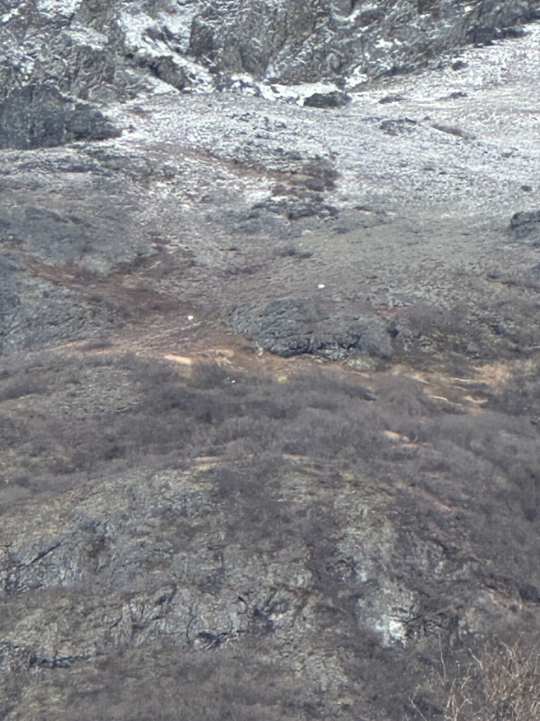 IMG_8996.jpg