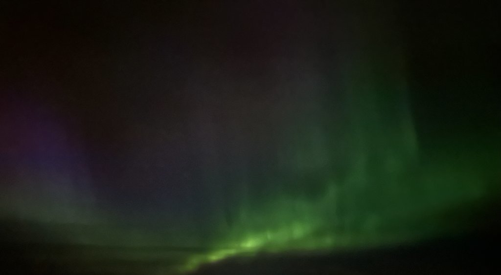 IMG_9024.jpg