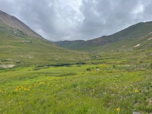 IMG_9035.jpg