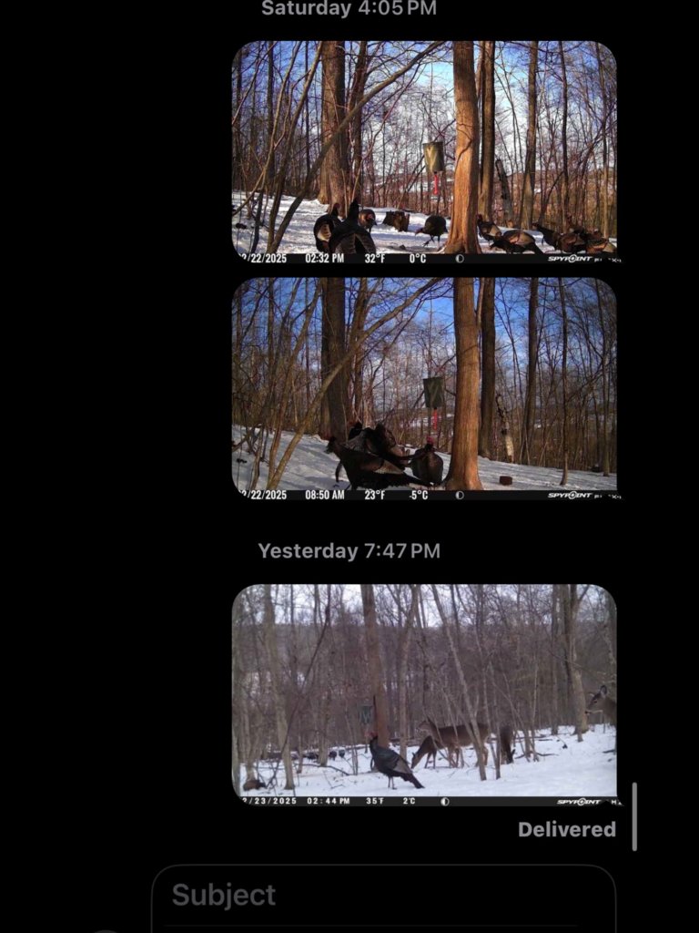 IMG_9037.png