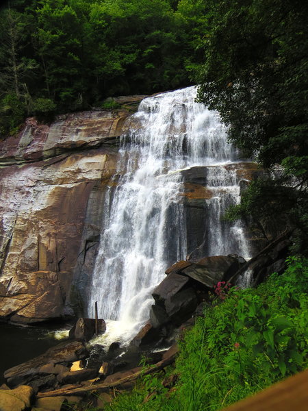 IMG_9100.jpg
