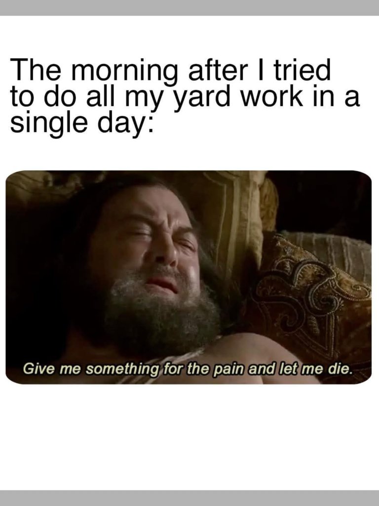IMG_9184.png