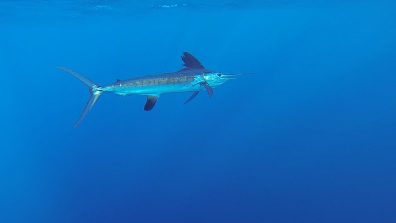 IMG_9190.jpg