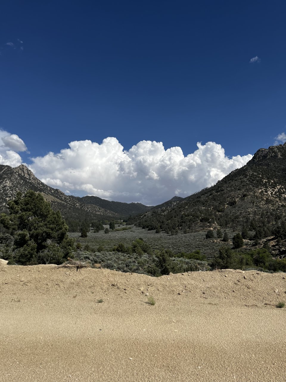 IMG_9256.jpg