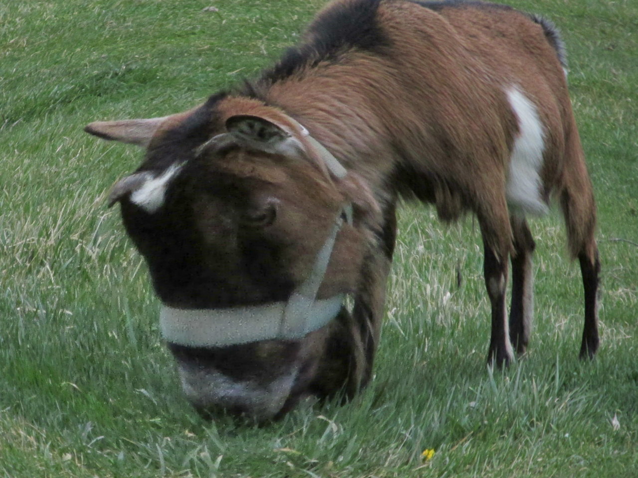 IMG_9270.jpg