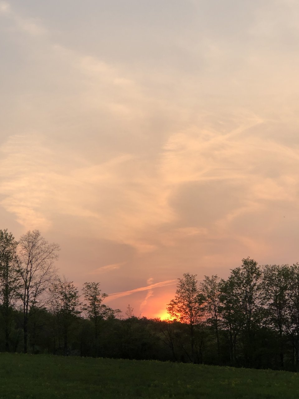 IMG_9286.jpg