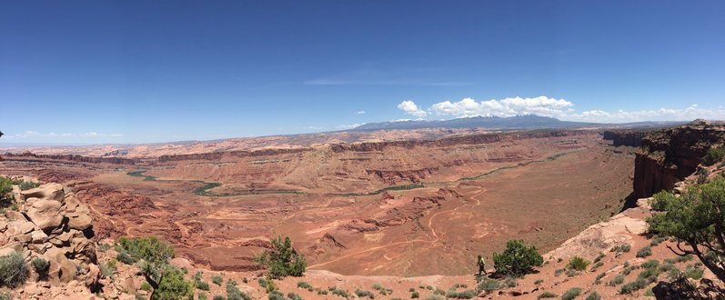 IMG_9320.jpg