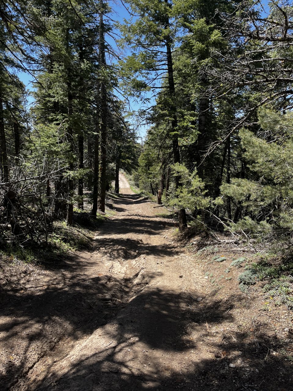 IMG_9327.jpg