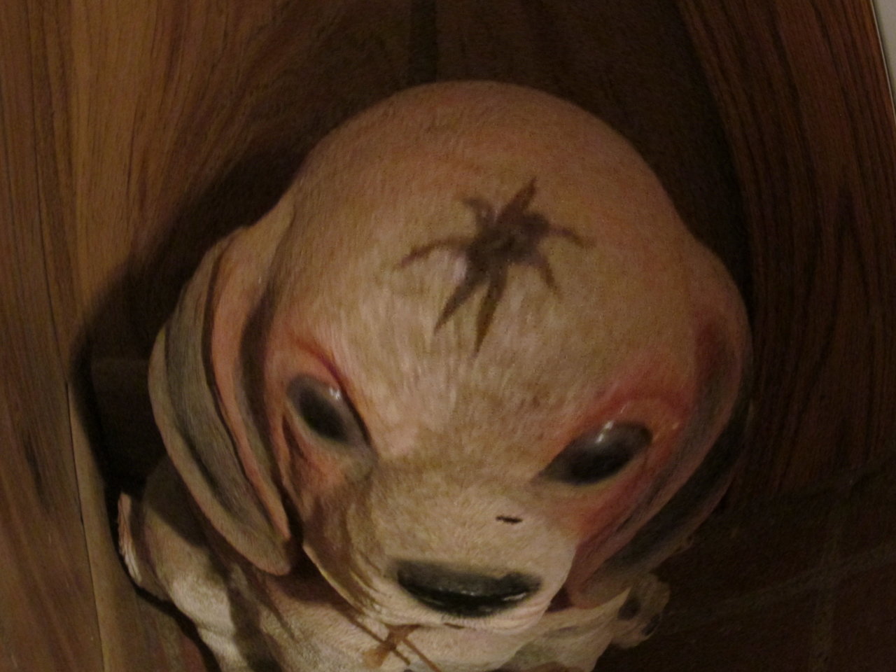 IMG_9366.jpg