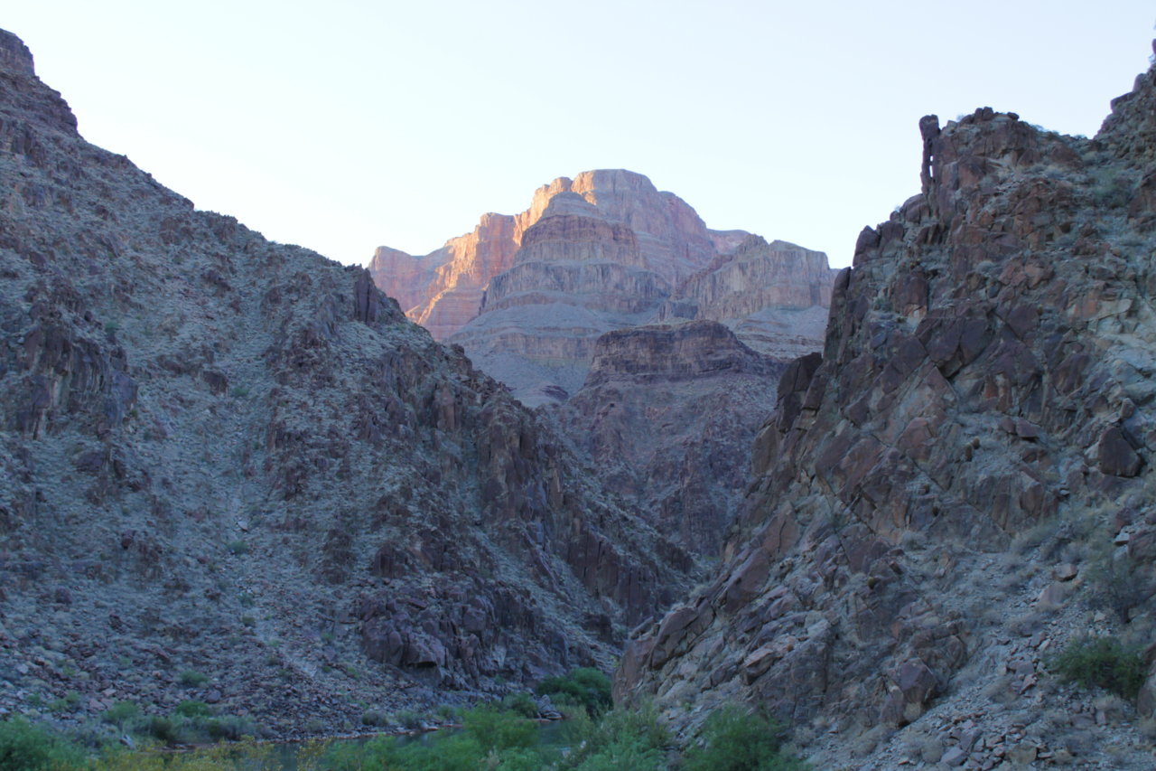 IMG_9385.jpg