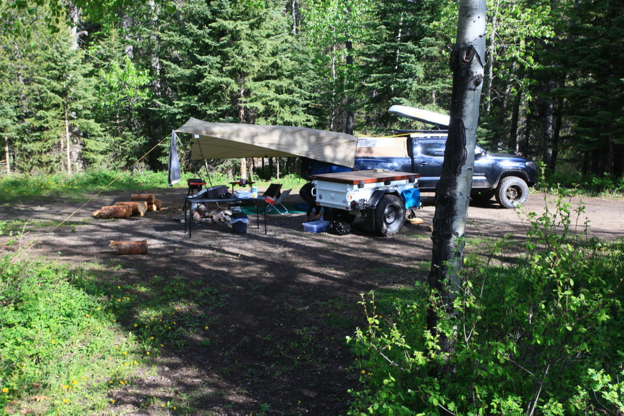 IMG_9428.jpg