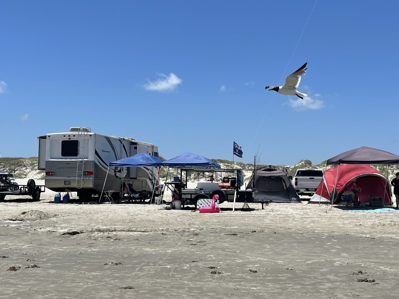 IMG_9489.jpg