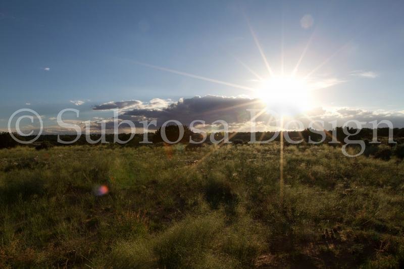 IMG_9533_zps0d198cdd_730d9b51b9b40ebc06f939ff1847ab5663b59925.jpg