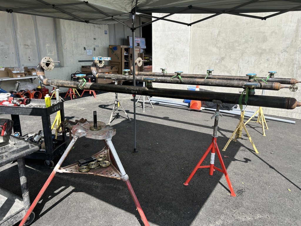 IMG_9554.jpg
