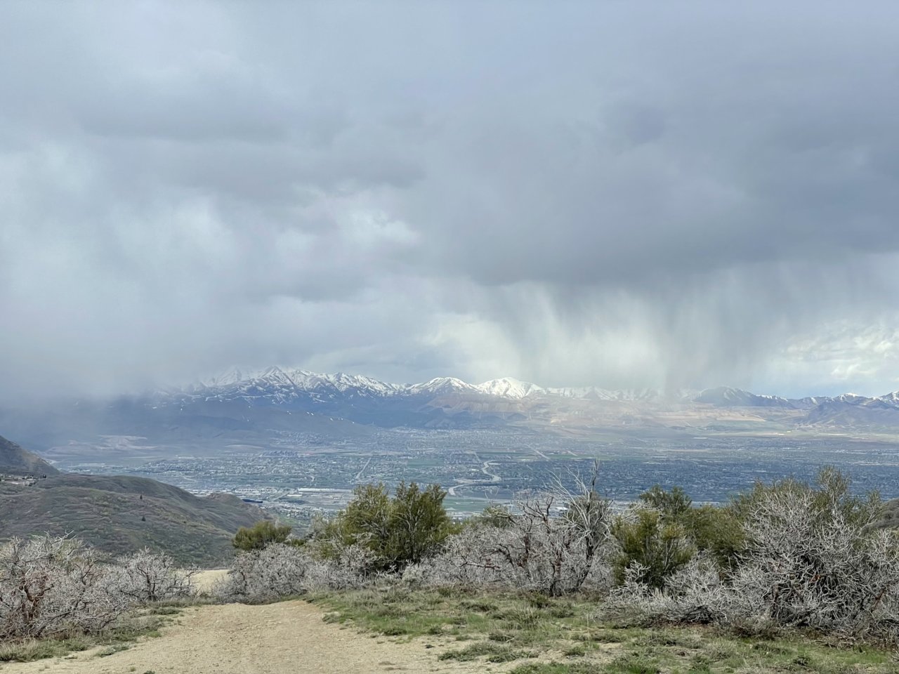 IMG_9590.jpg