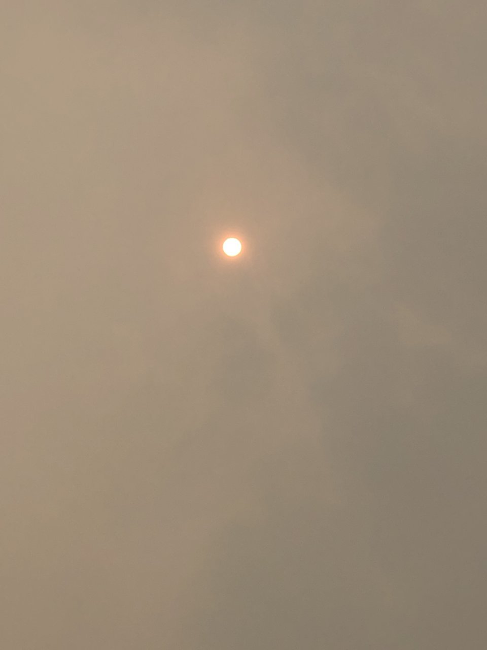 IMG_9615.jpg