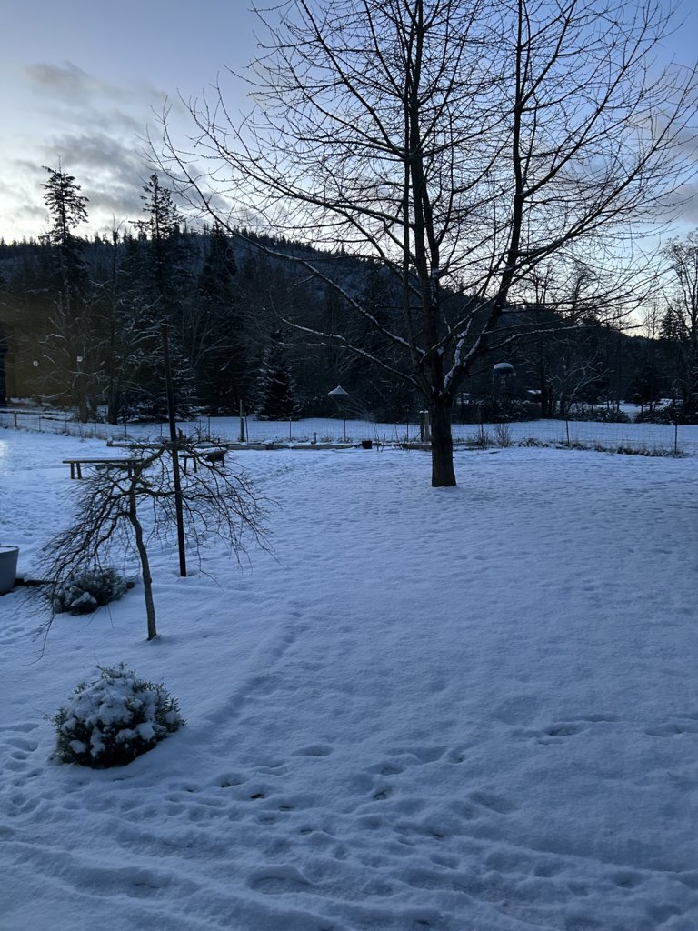 IMG_9686.jpg