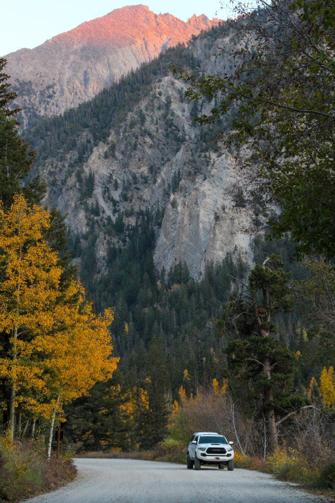 IMG_9716.jpg