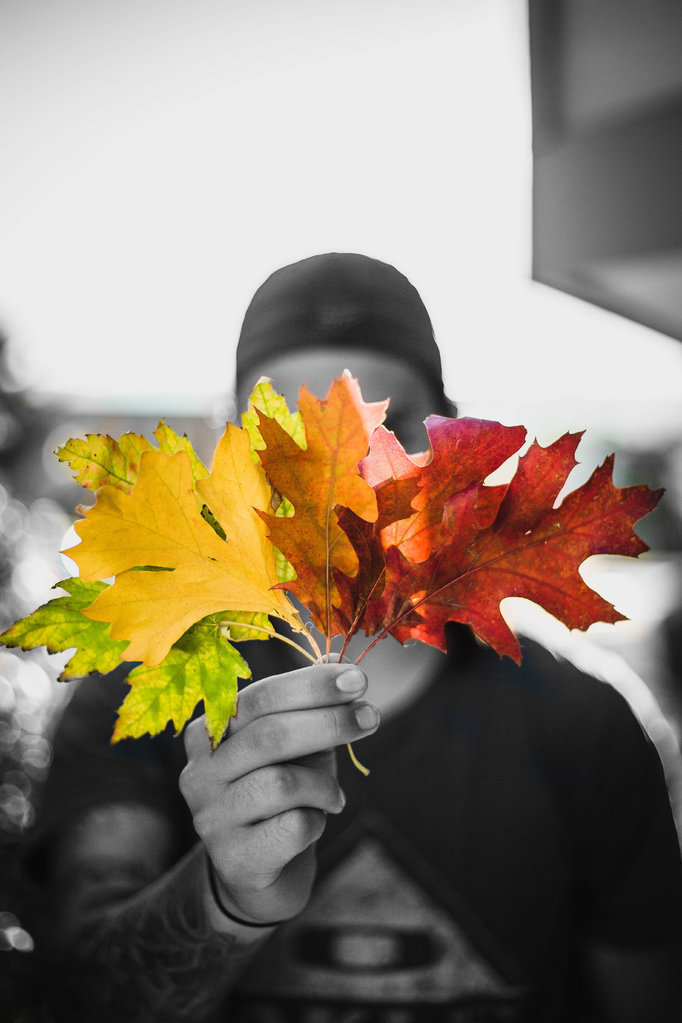 IMG_9763.jpg