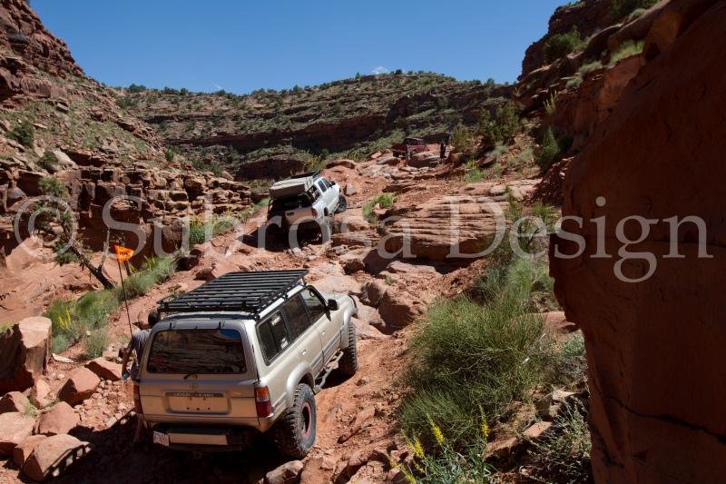 IMG_9809_zpsebad1a42_8b3c7219283f75b2800ad60217834e3d06b2aab3.jpg
