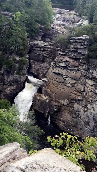 IMG_9820.jpg