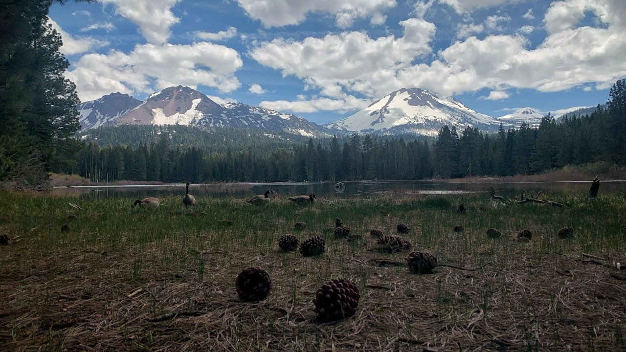 IMG_9873.jpg