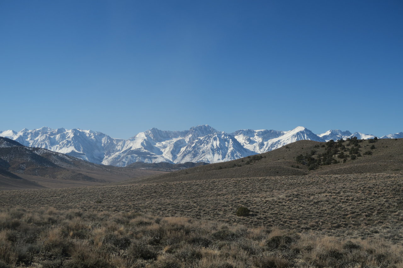 IMG_9883.jpg