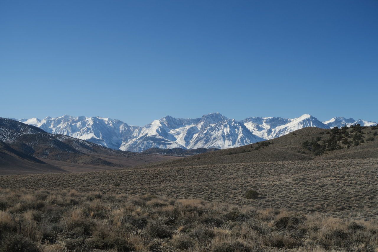 IMG_9884.jpg