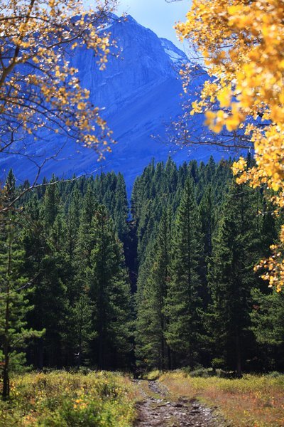 IMG_9893.jpg