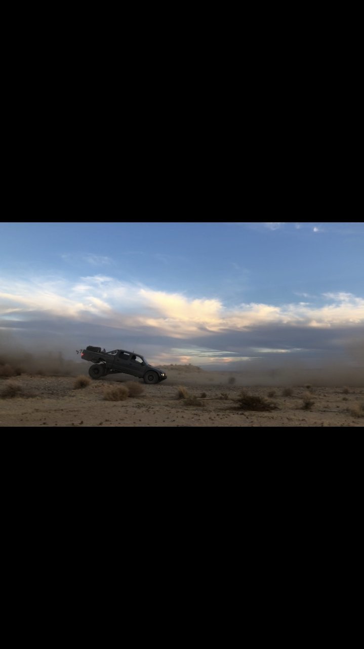 IMG_9905.PNG.jpg