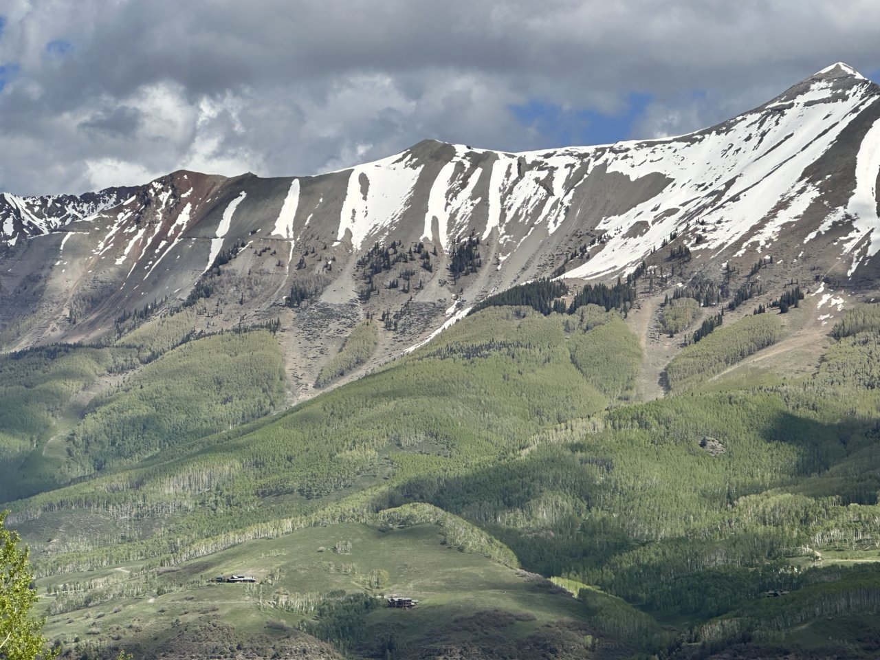 IMG_9944.jpg