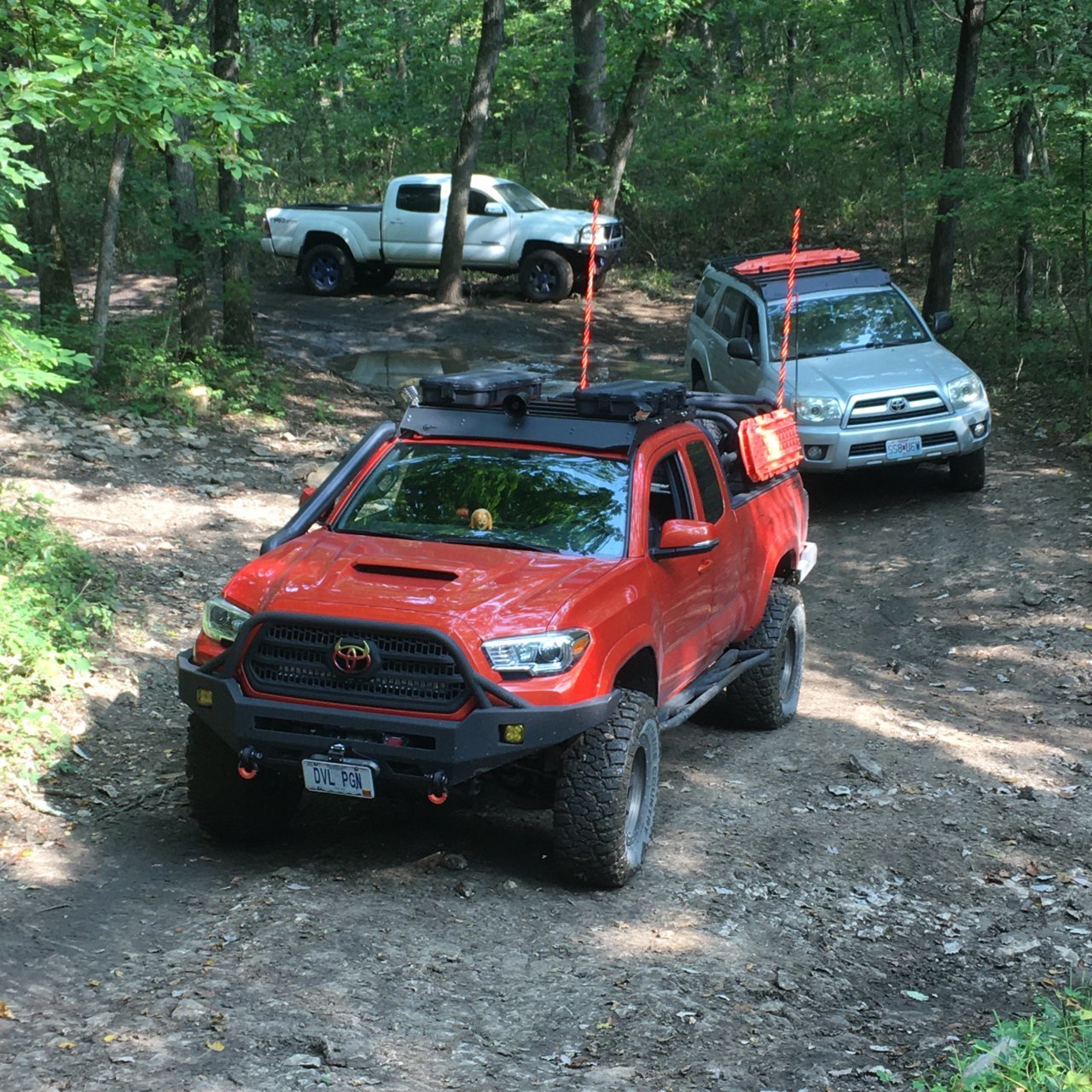 IMG_9960.jpg