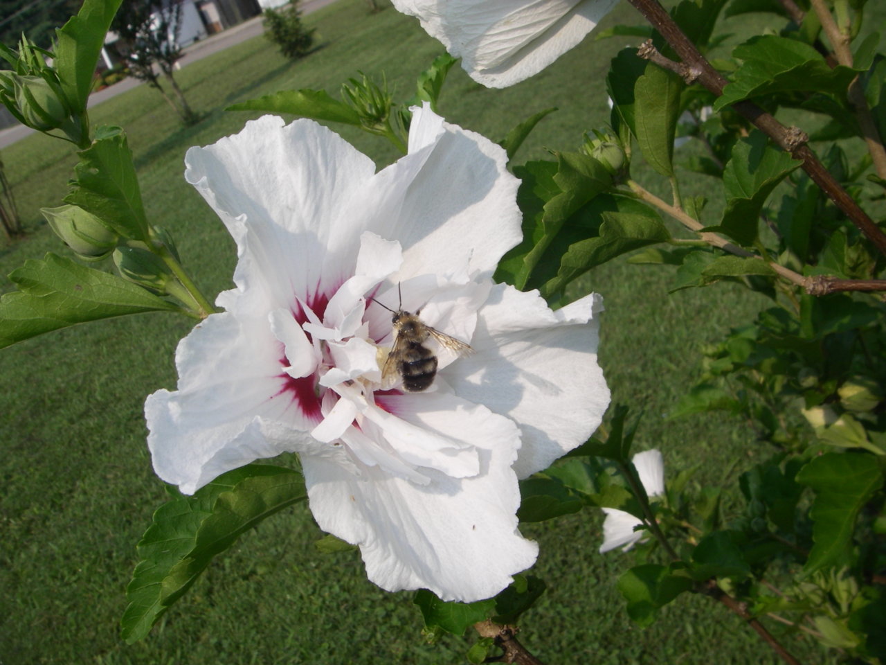 IMGP0330.jpg