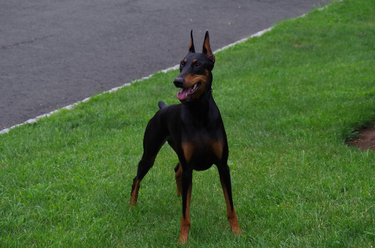 IMGP0546.jpg