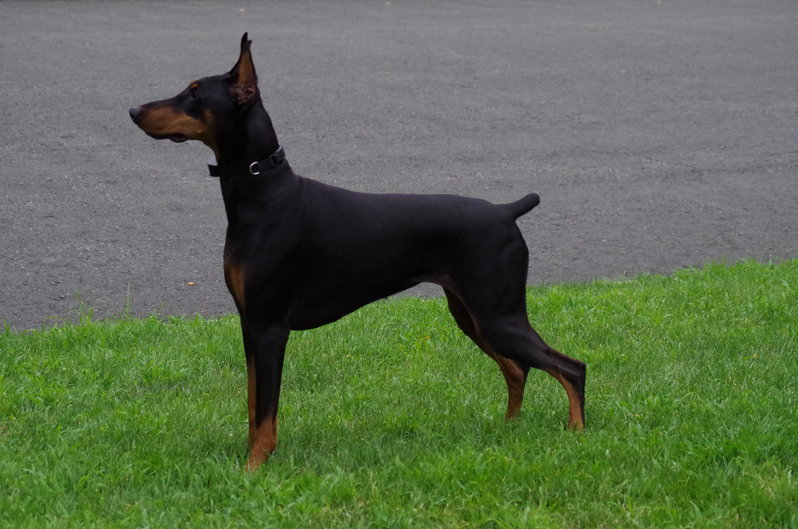 IMGP0597.jpg