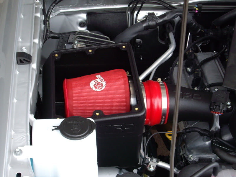IMGP0919_e34435156501840291d4d29f7b18b1eb626cbd55.jpg