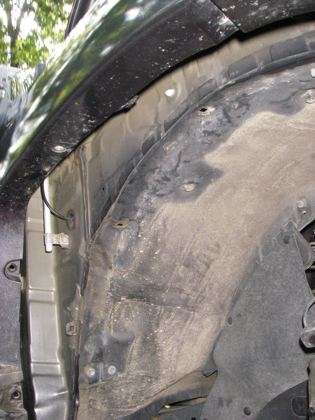 IMGP1277.jpg