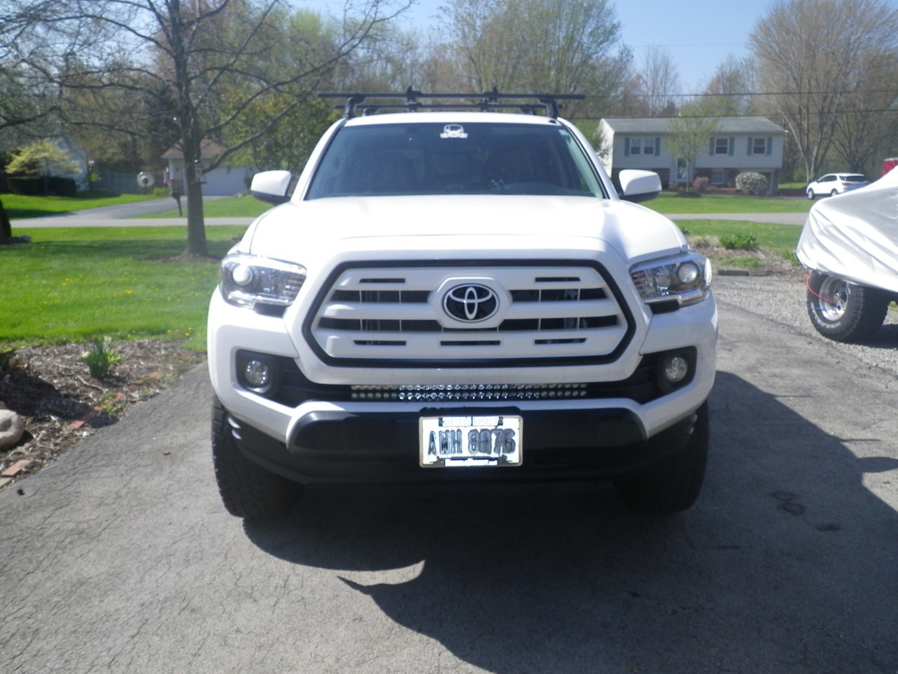 IMGP1493.jpg