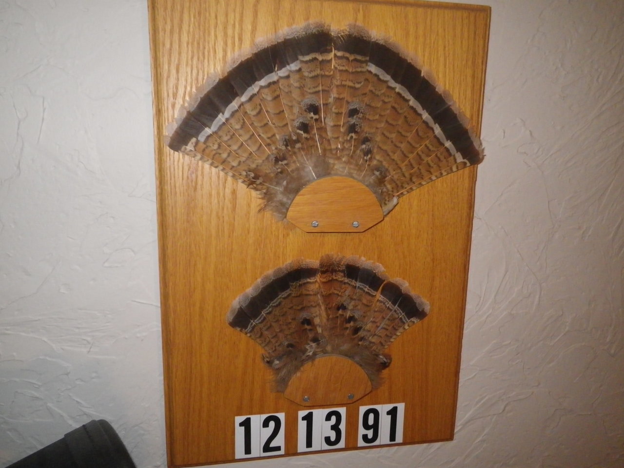 IMGP1566.jpg