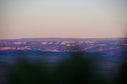 IMGP3274.jpg
