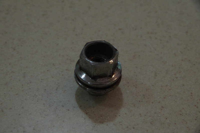 IMGP6263.jpg