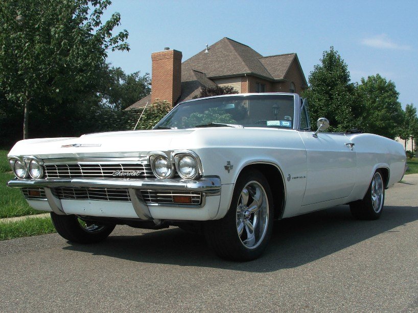 impala6_824.jpg