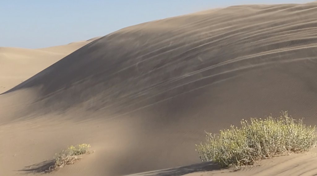 ImperialDunes2.png