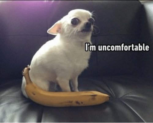 imuncomf.jpg